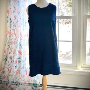 Blue Cotton Sleeveless J Jill Dress Size PXL
